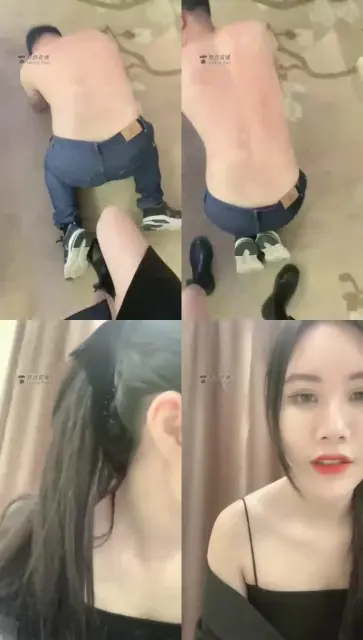 【鸢葵】鞭打踢