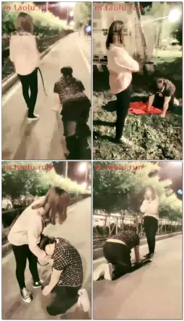 【南笙四爷S】小区门口升水调教，遛狗，钻跨结尾路人帮M求放过