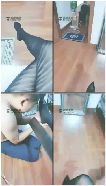 【轩雯女主】日常玩贱狗犀利语言