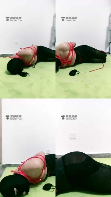 【猫女殿下s】捆绑贱狗，SP