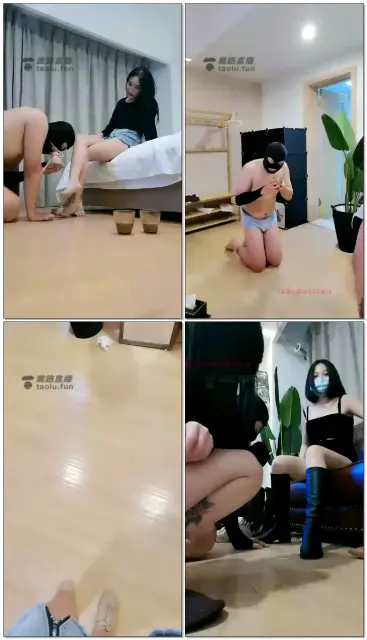 【沐夏S&曳摇S】（双11双s）欢天喜地的日子里应该玩个狗