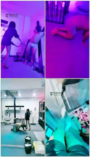 【曳摇S】霸气吊起来鞭打