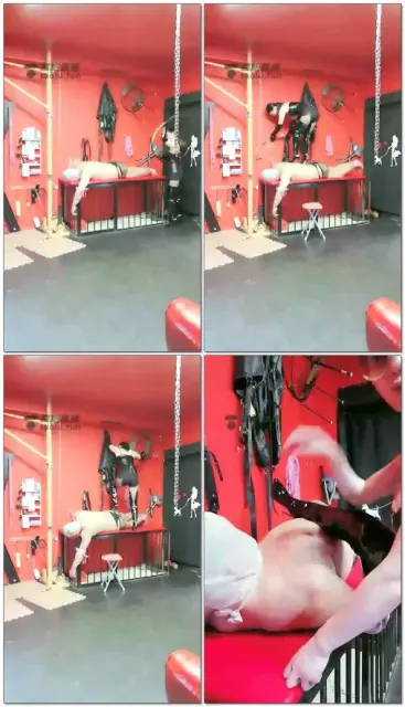 【SMqueenwuhan】玩狗狗游戏