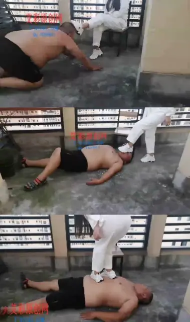 【傲视之巅·冰】天台运动服踩踏【15分钟】【艾踩】