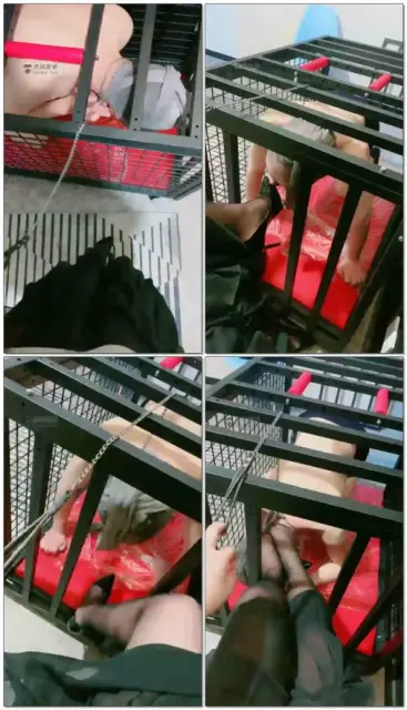 【无情大人】狗笼内调教舔脚狗