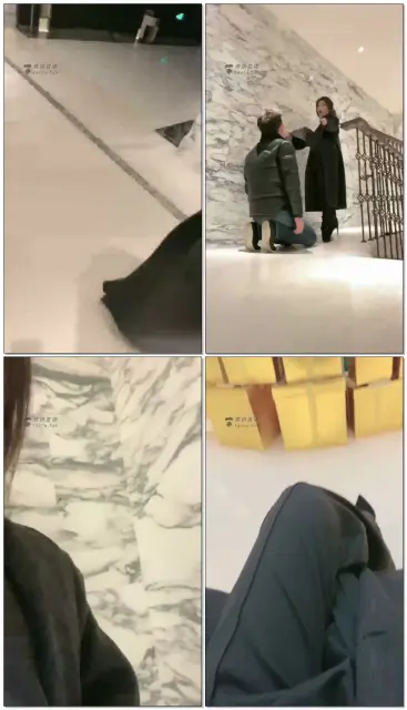 【歌迪丝】商场遛狗，跪行动物