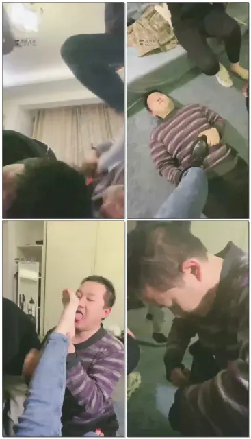 【妖妖学姐】双主双奴，狗狗比赛