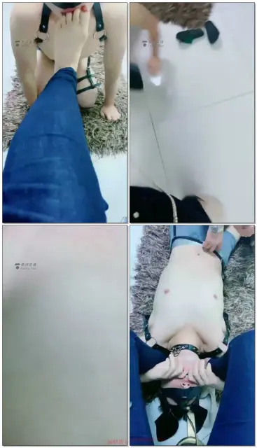 【短发S】我最贱的飞行员带着骚劲爬过来了