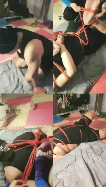 【夏夏S】捆虐胖狗，强迫闻臭袜，坐脸