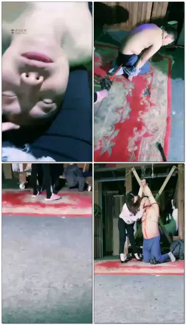 【高傲S】玩玩小乌龟