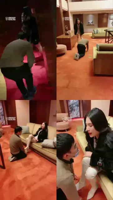 【诺曦s】酒店大厅遛狗