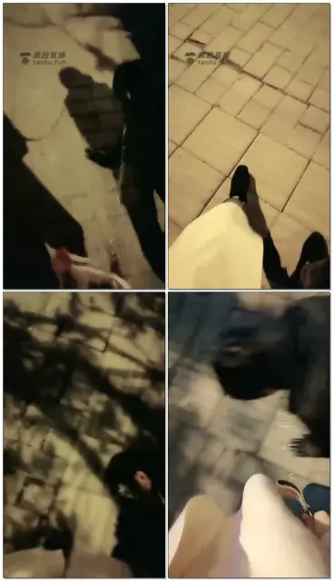 【多多S】野外遛人形犬