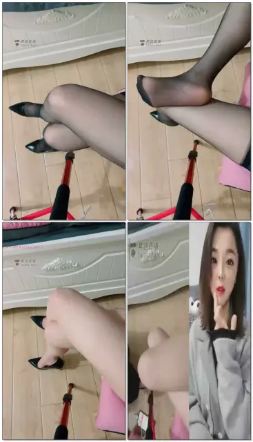 【丹丹S】互动场，调家奴，随意随性发挥