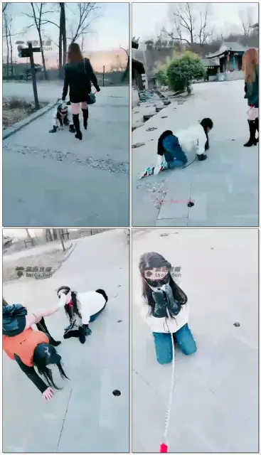 【梦幻大大】野外调教双母狗，狗链溜，舔靴，棉袜羞辱