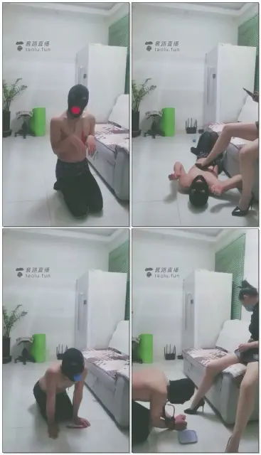 【千寻小主】鞭打，遛狗