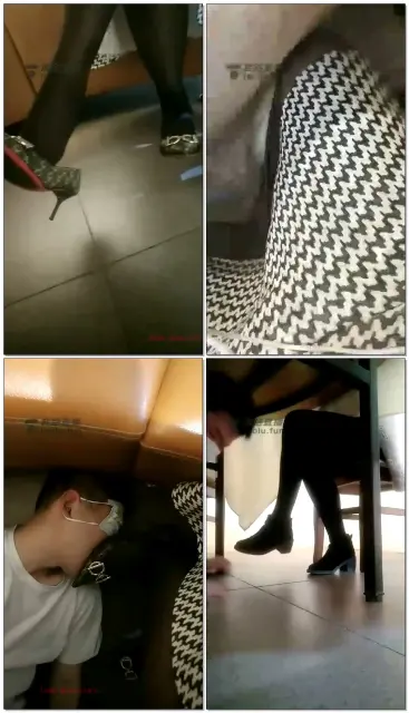 【都市艳主】和美女吃饭，饭桌下藏狗