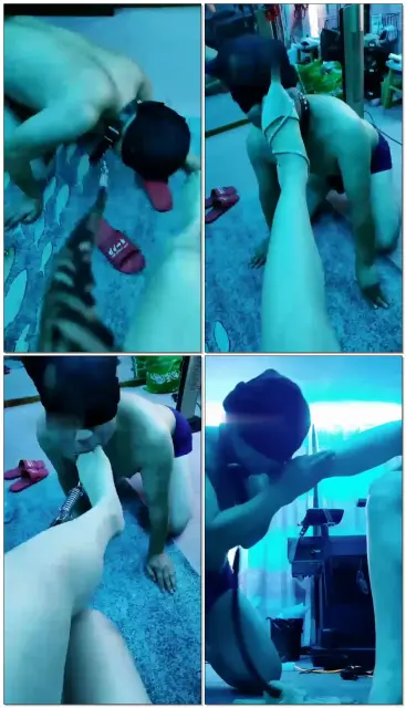 【天香百合】大过年狗找虐