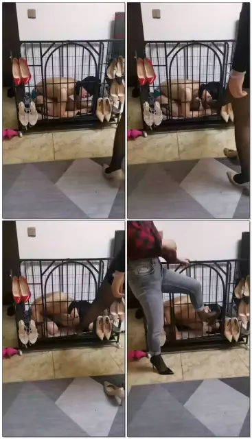 【莲霸霸S】狗笼里帮双主除臭