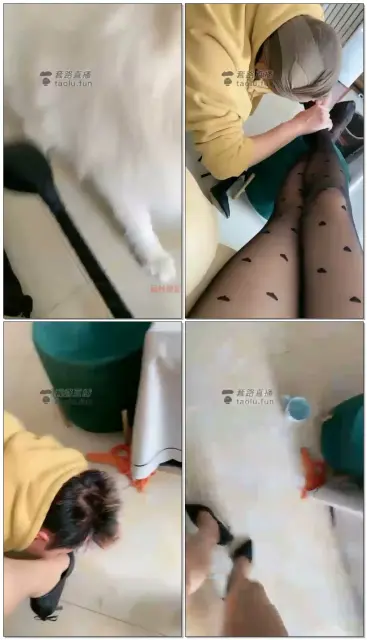 【雨琦S】惩罚狗做家务（续）