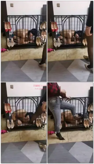 【重庆沦陷S】狗笼帮双主黑丝除臭