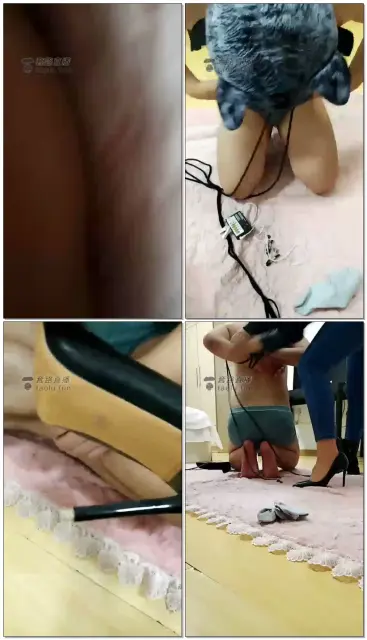 【晓久S】训家狗骑马舔脚电击