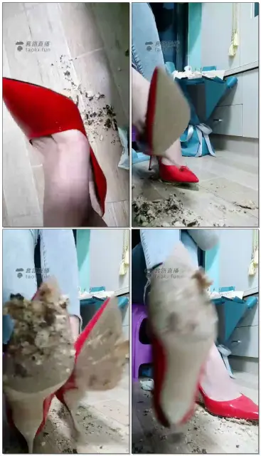 【大佩佩S】踩踏小饼干