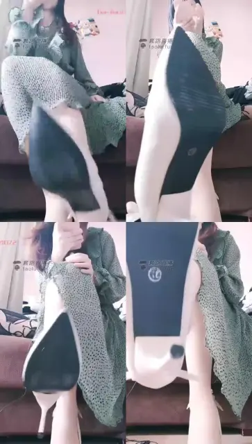 【微莱S】强制洗脑炸，贡狗头晕无脑