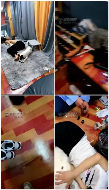 【甜心s】脚下三只贱狗，早餐黄金圣水