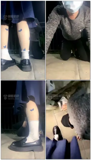 【忽悠小主】户外训狗