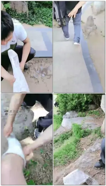 【林夕女王】户外按摩玩贱狗,舔丝袜脚,总有路人经过,吓死他了