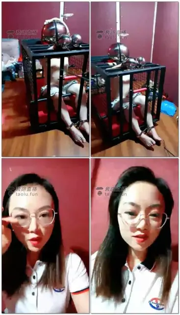 【唯雅S】扇得满手开红花