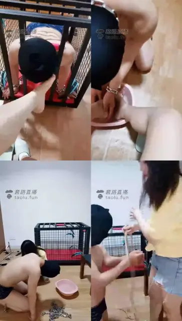 【s夏夏绳缚】一条抗拒直播的贱狗