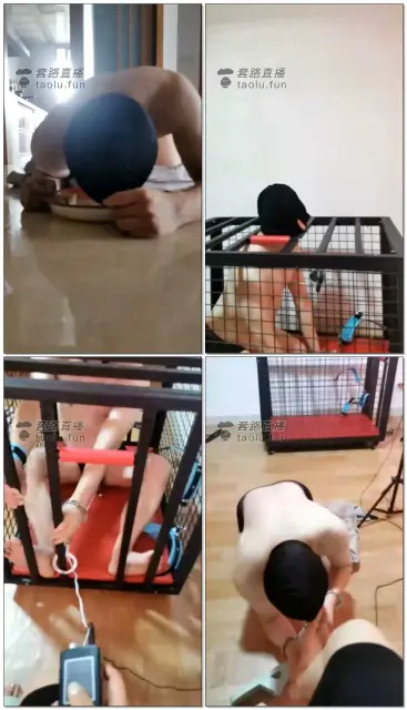 【s夏夏绳缚】大早上的就要喝圣水