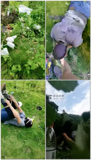 【韩韩S】户外调只宠物狗