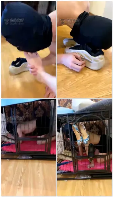 【哈市碧凡大咖】踩爆你的狗头扔进笼子里