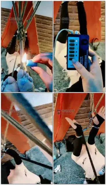 【东营天香百合】折磨贱狗【14分钟】_20216442940