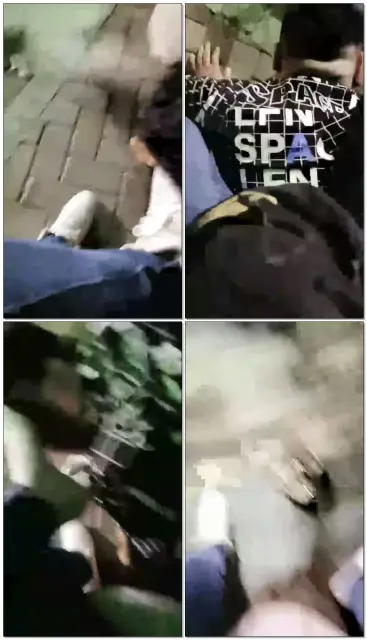 【美柠S】第一次直播深夜户外遇狗