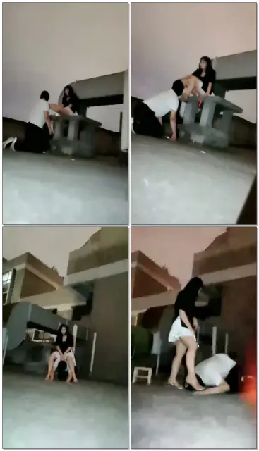 【Michelle傲雪s】半夜天台虐狗