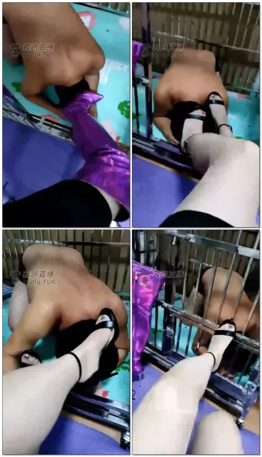 【乐爷】调教新员工圈养