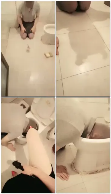 【丽妃S】调教厕奴，舔马桶