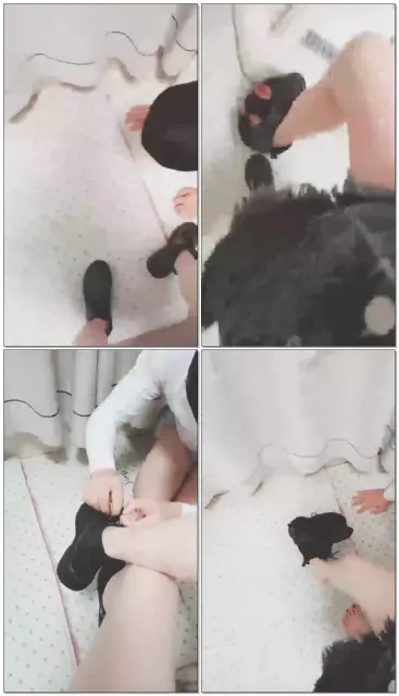 【夏琳】靴子点狗，恋足