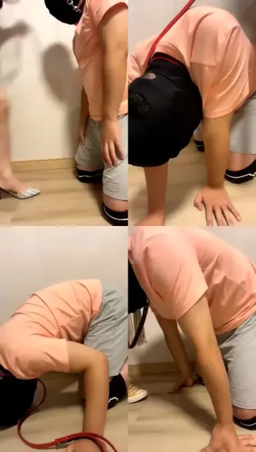 【云云酱】高跟踢裆，帆布鞋踢裆