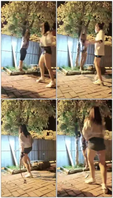 【芒果s&多多s】双S调教贱狗，户外皮鞭抽打