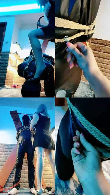 【东营天香百合】束缚