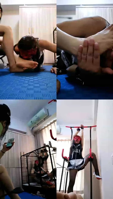 【董大大帅助理】日常调教CD奴