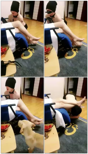 【夜伴s】日常地位尊卑