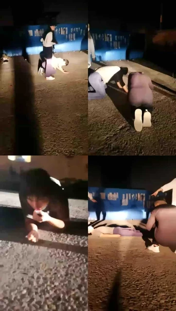 【廊坊八爷】户外遛狗