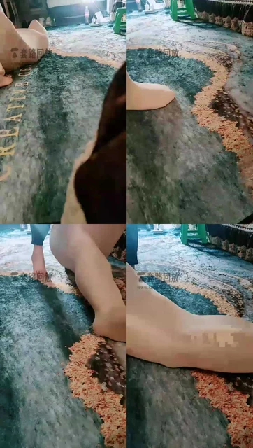 【一一S】丝袜全包