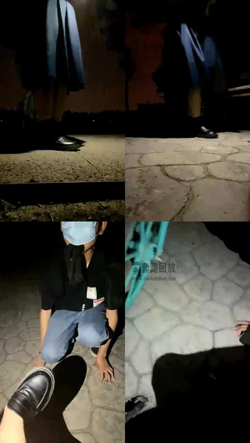 【小痴大人】户外公园鞋抽脸舔脏鞋底羞辱后面还有路过的情侣遛狗