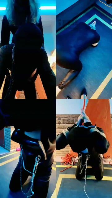 【东营天香百合】开始吧，惩戒